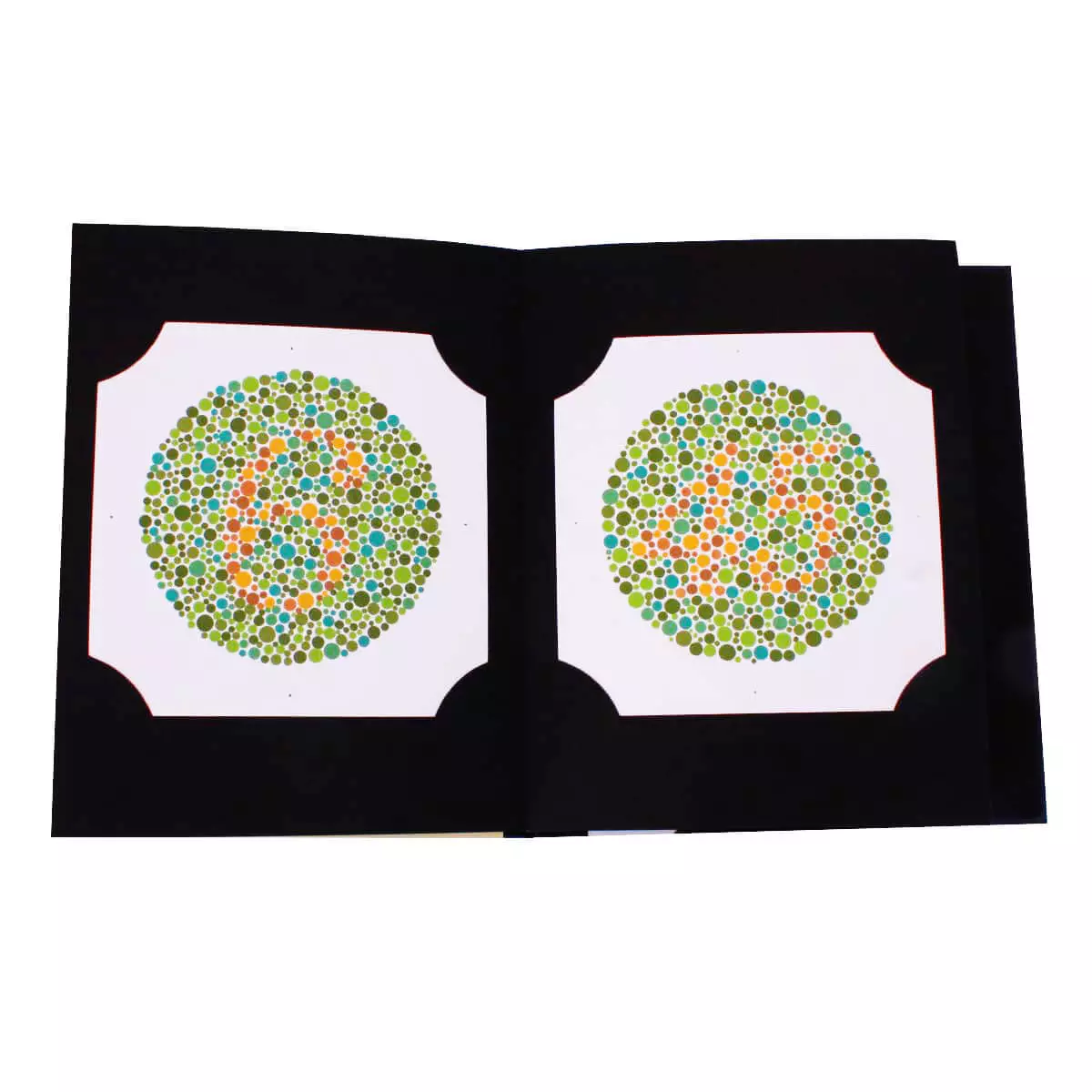  Planches de couleur Ishihara