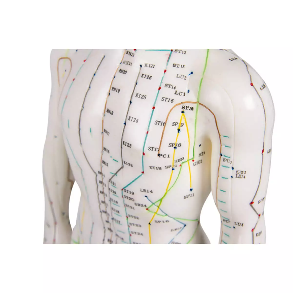  Acupunctuur figuur