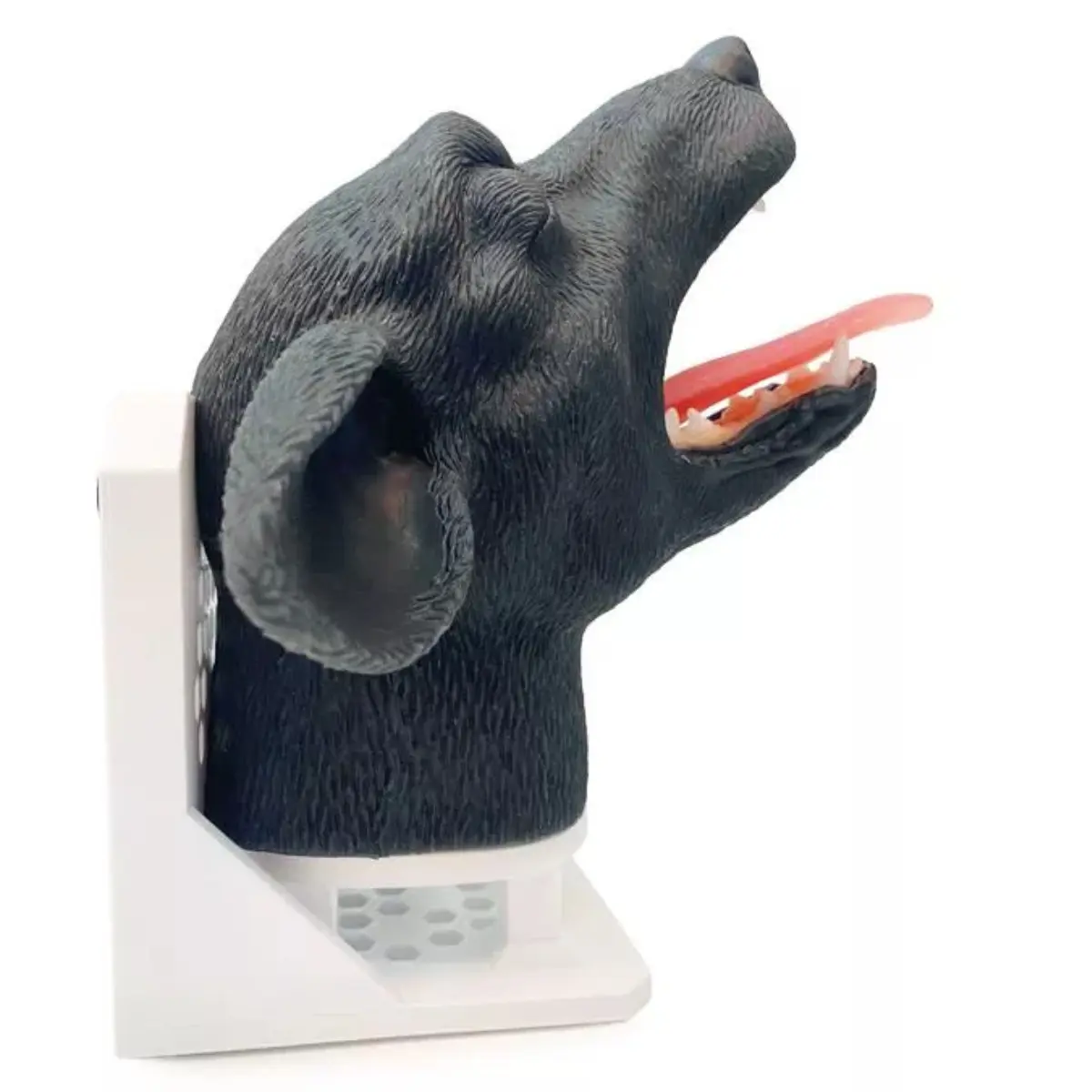 Tête d’intubation – chien Tête d’intubation – chien
