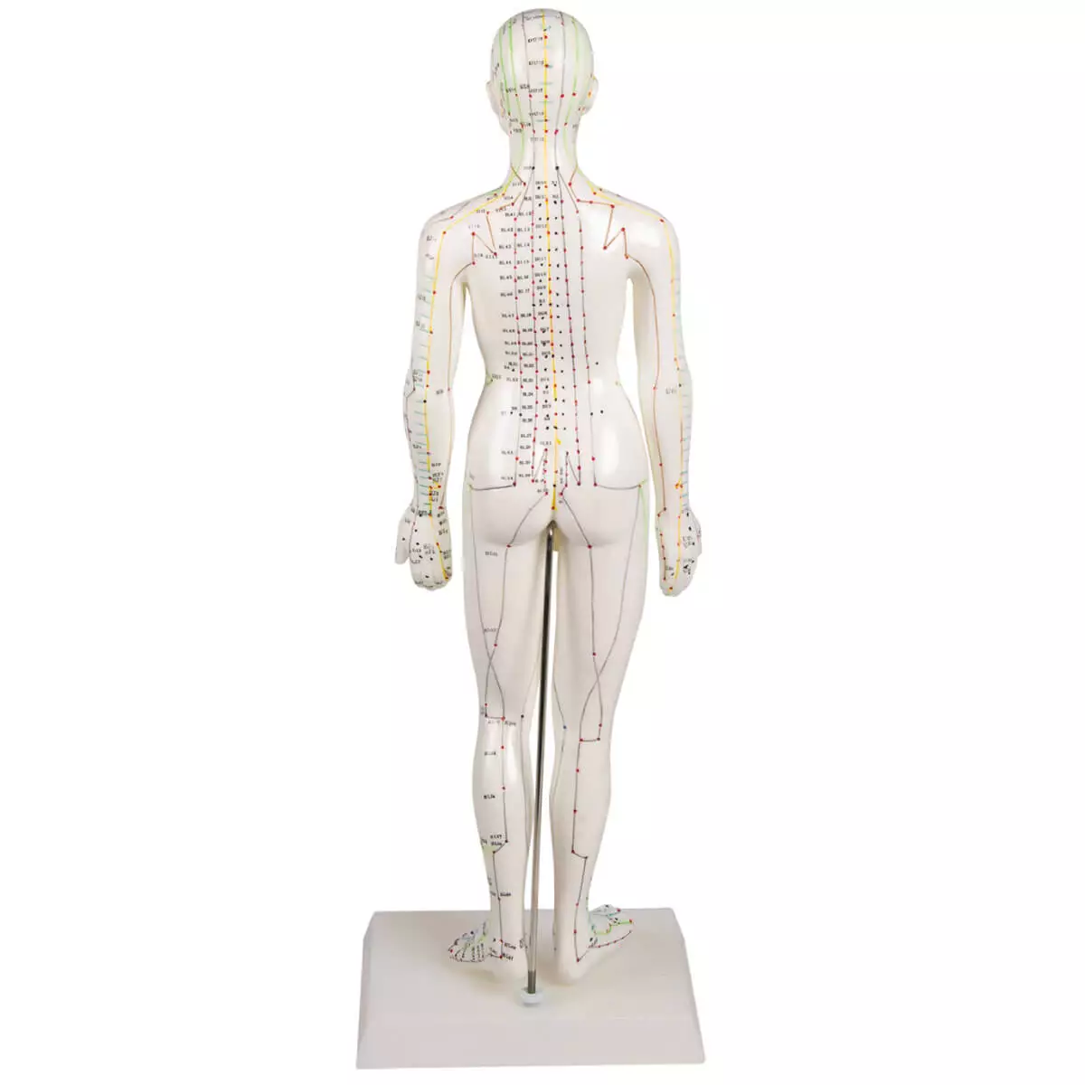  Figure d'acupuncture
