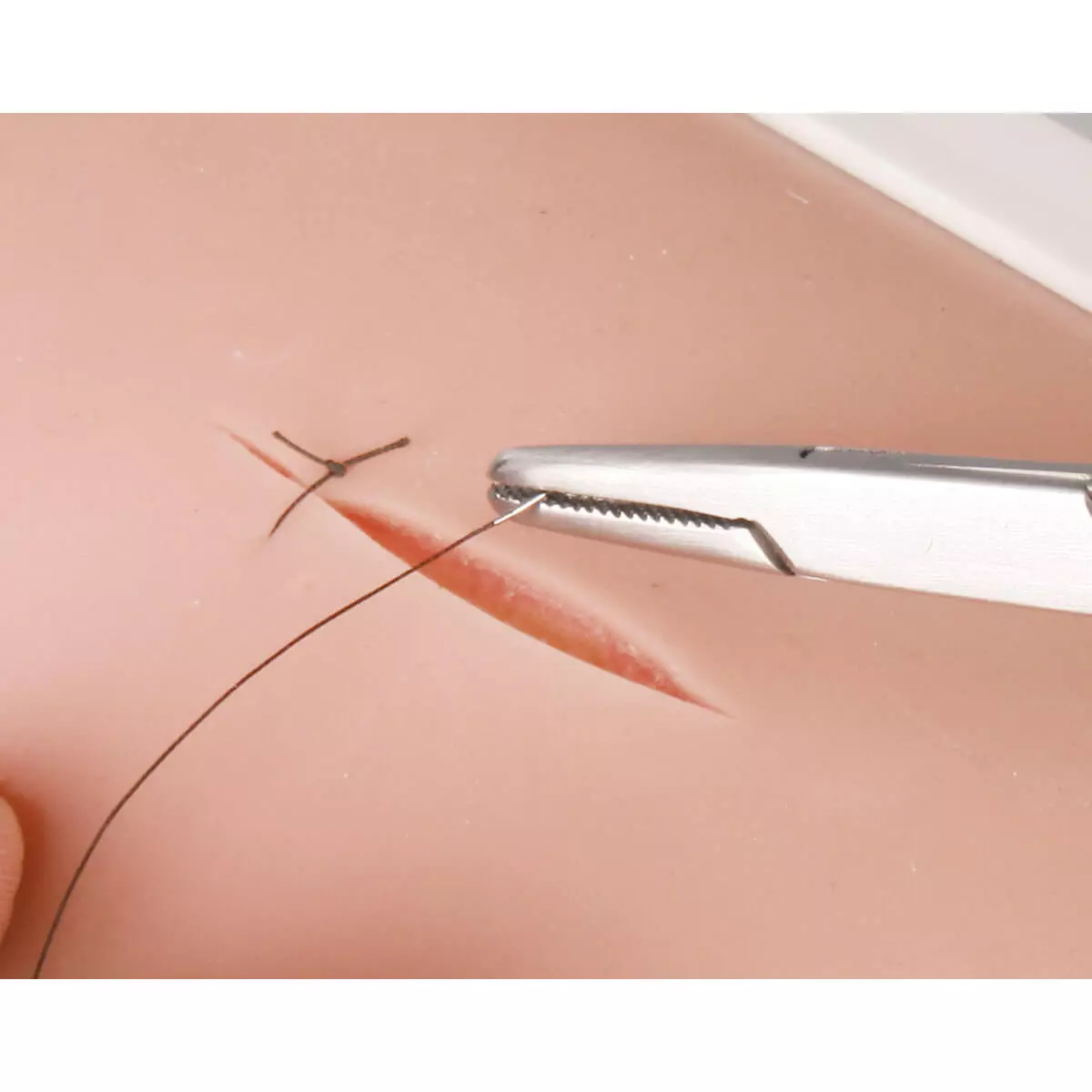  Coussin de peau pour simulateur pour suture