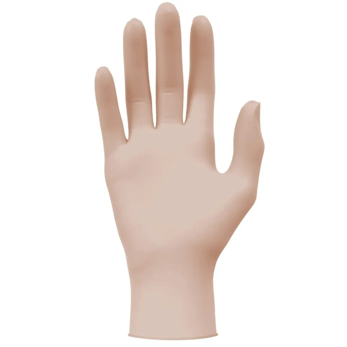 Gants Vinyl 2000 PF Gants Vinyl 2000 PF