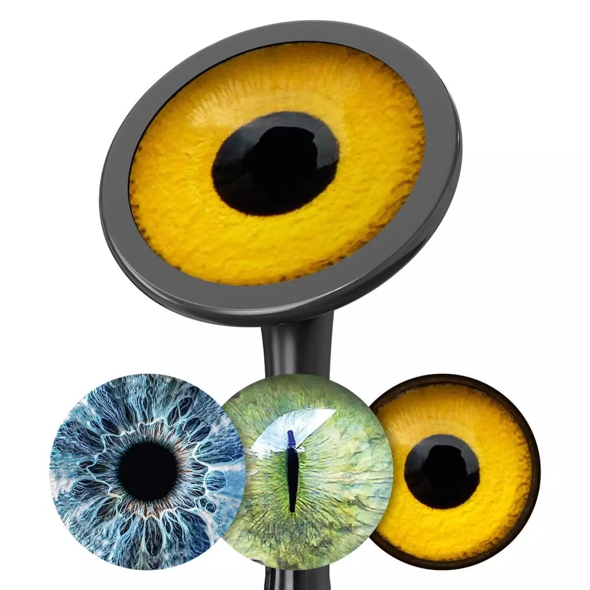  Bedrukte glasvezel-membraansets “Drums”