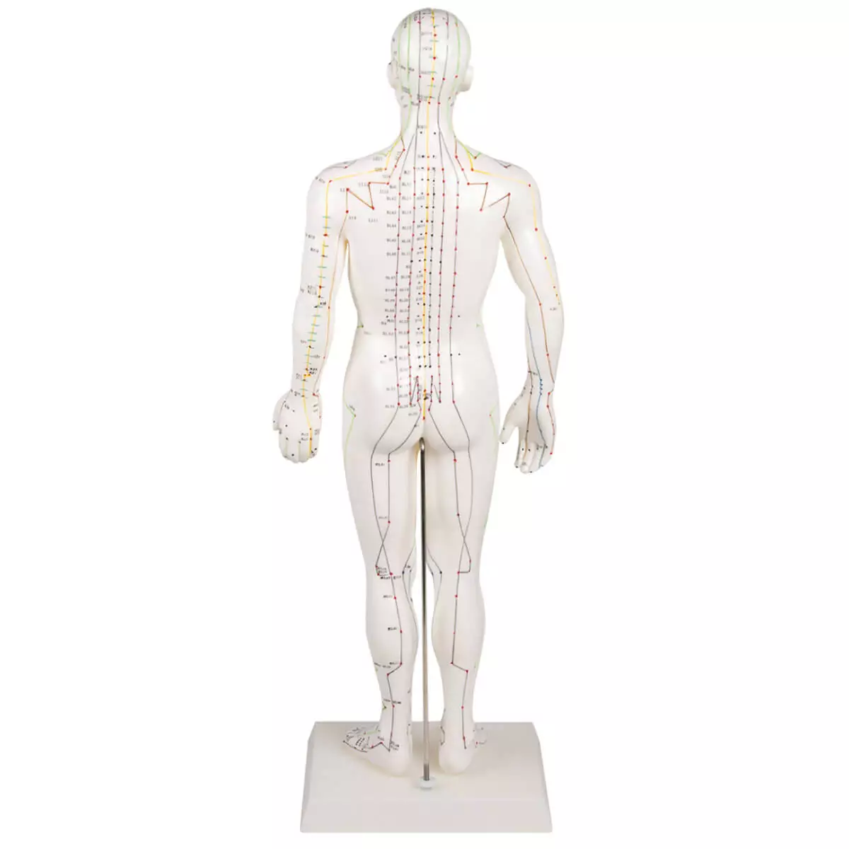  Acupunctuur figuur