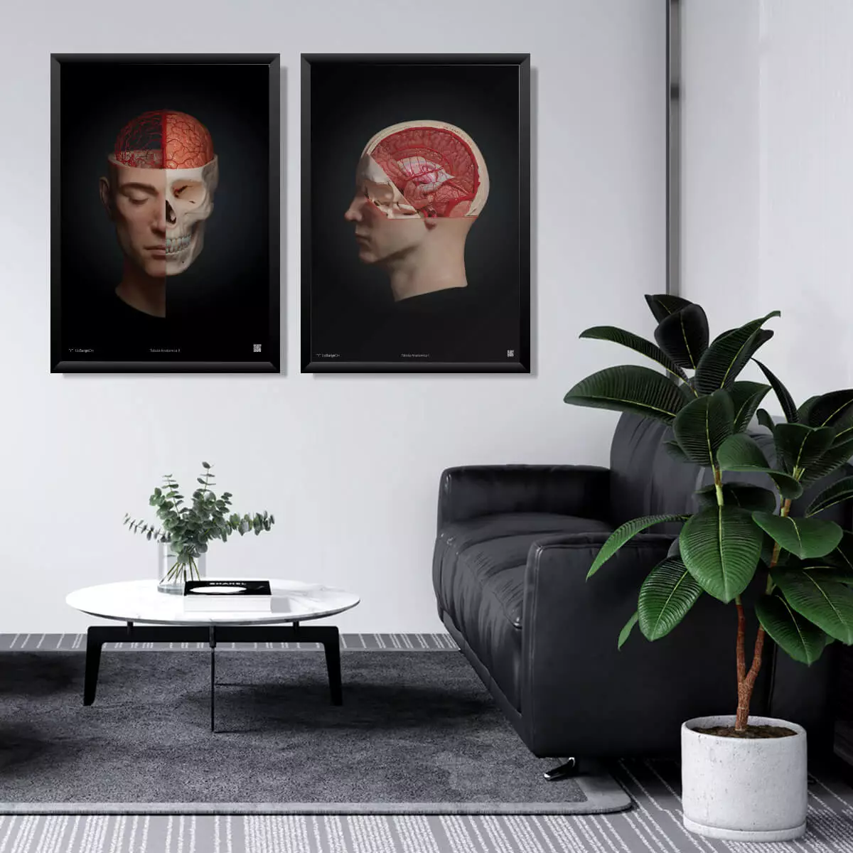  Collectie AnatomyARt