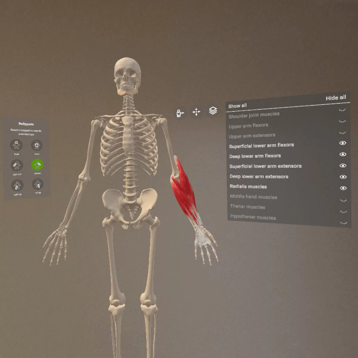 Application d’anatomie en réalité mixte « Corpus » pour Meta Quest 3/3S Application d’anatomie en réalité mixte « Corpus » pour Meta Quest 3/3S