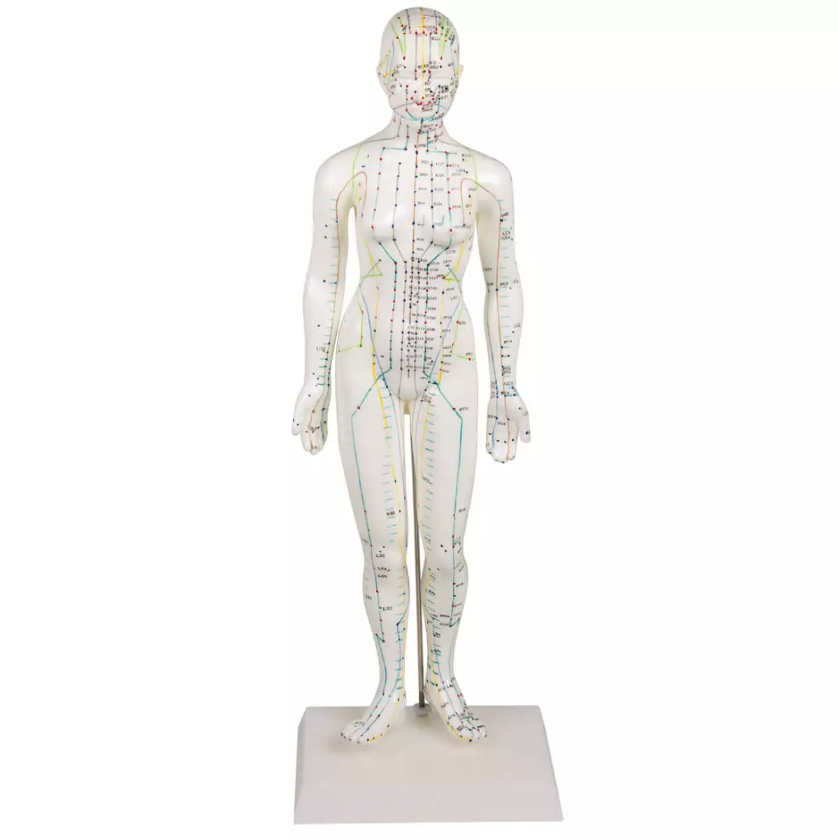  Figure d'acupuncture
