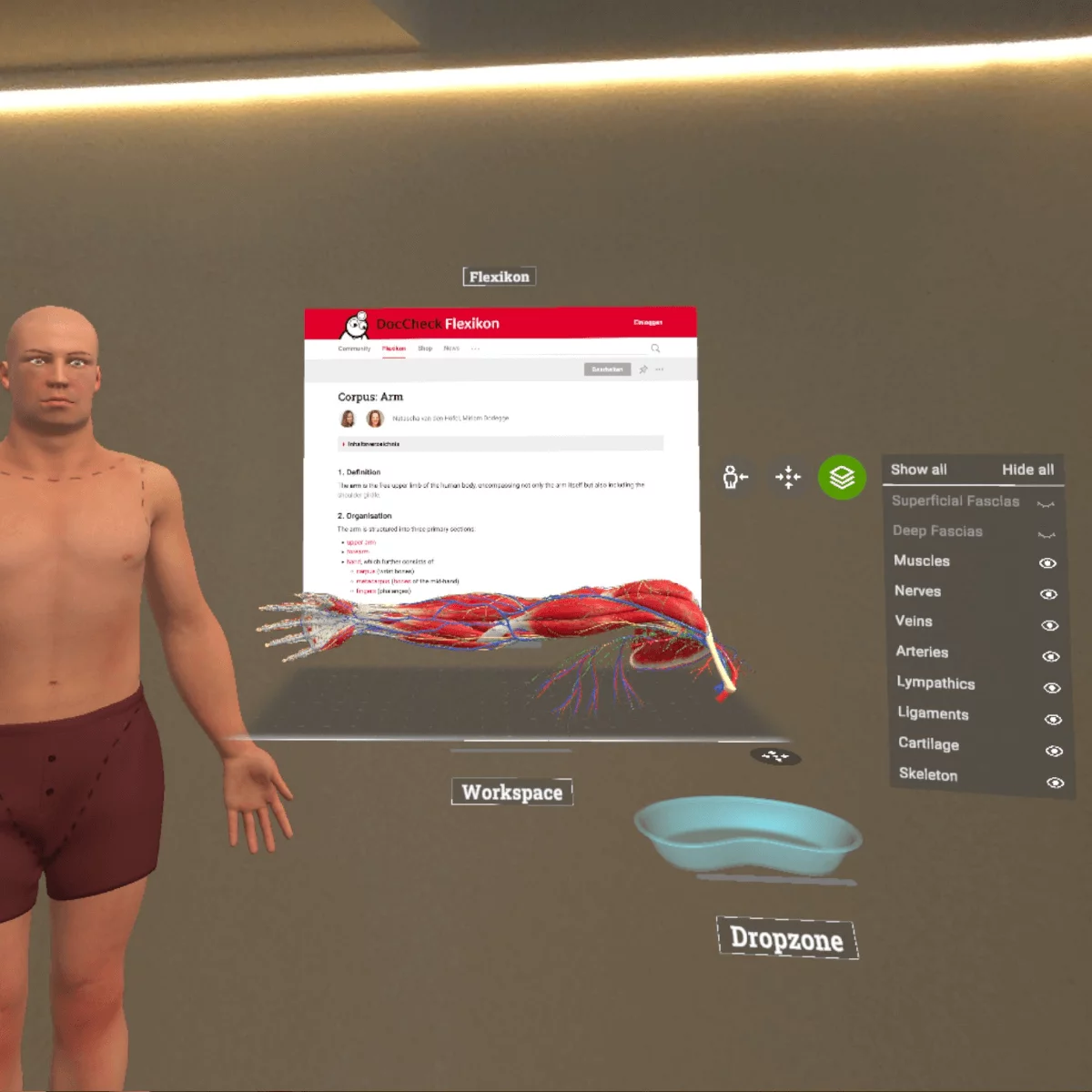Application d’anatomie en réalité mixte « Corpus » pour Meta Quest 3/3S Application d’anatomie en réalité mixte « Corpus » pour Meta Quest 3/3S