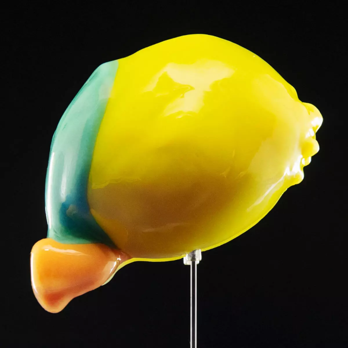  Embryomodellen van de carnegiestadia
