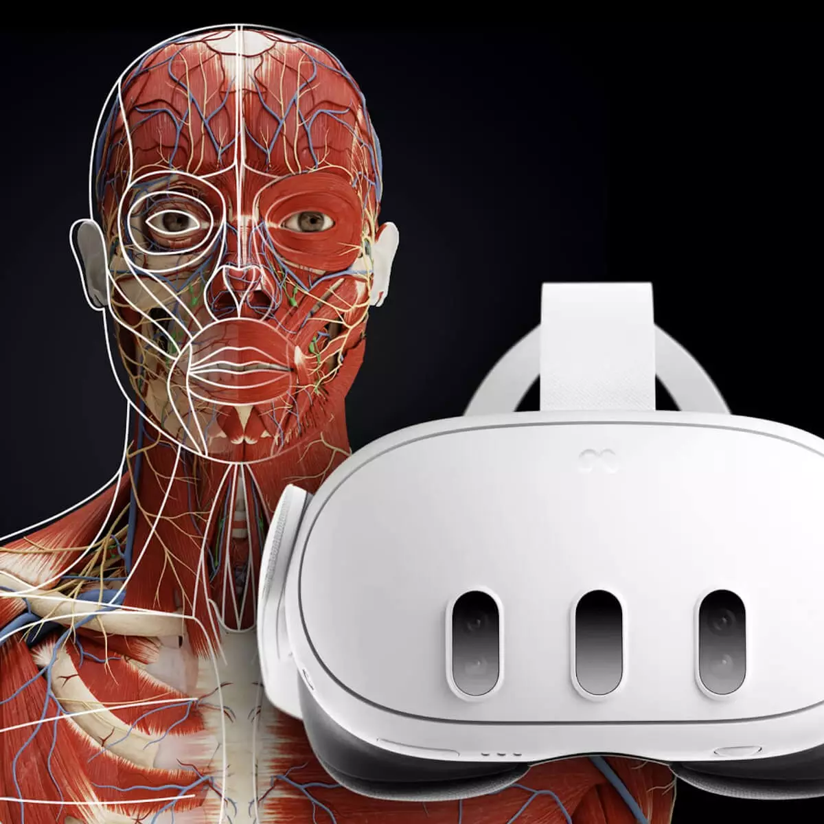 Application d’anatomie en réalité mixte « Corpus » pour Meta Quest 3/3S Application d’anatomie en réalité mixte « Corpus » pour Meta Quest 3/3S