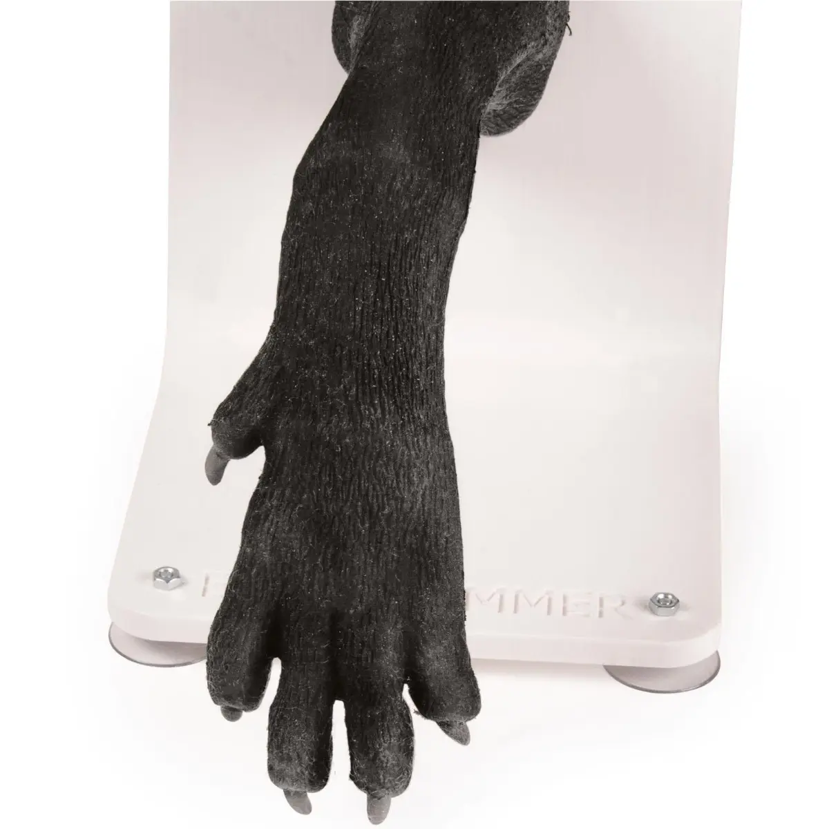 Entraîneur à la mise de bandage – patte de chien Entraîneur à la mise de bandage – patte de chien