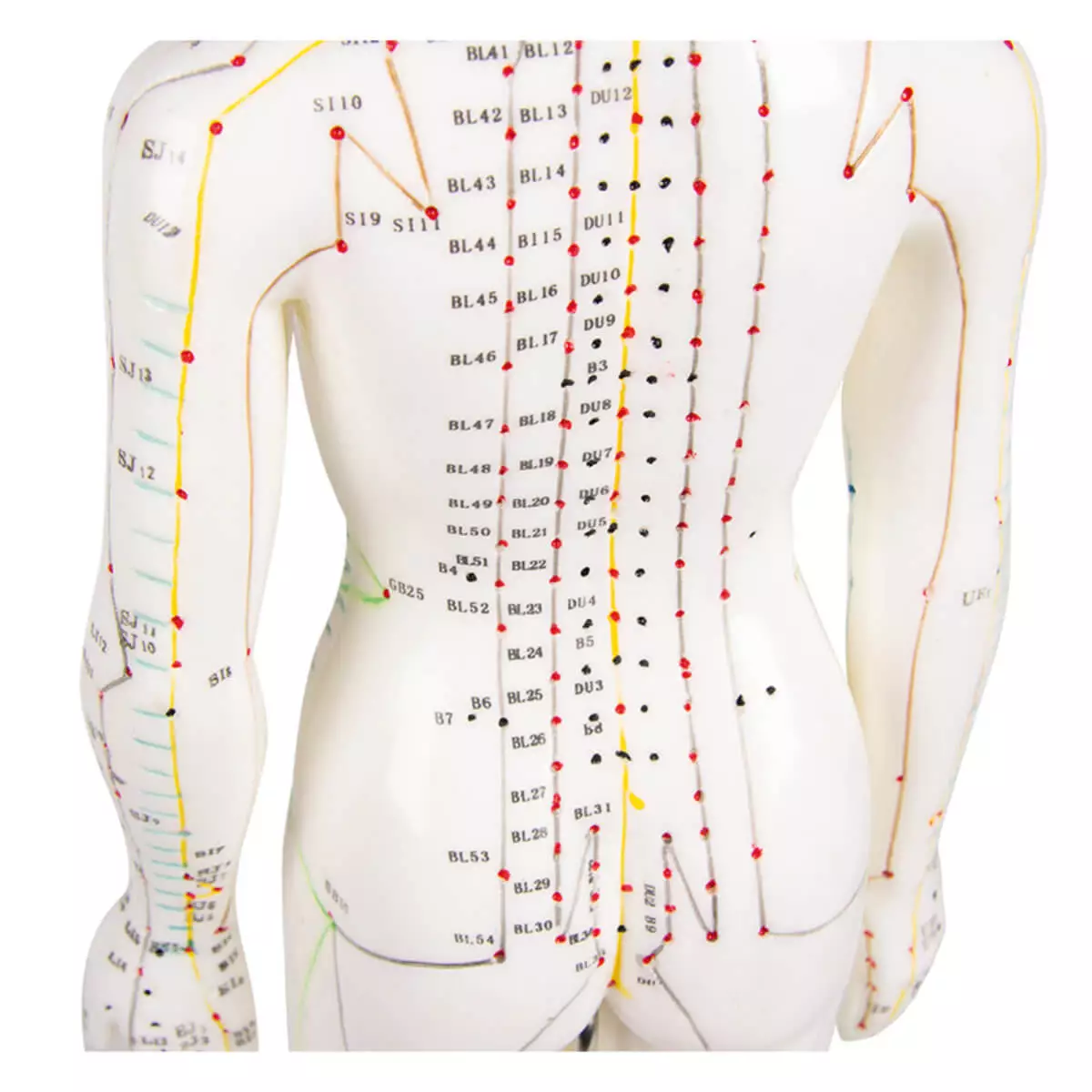  Figure d'acupuncture