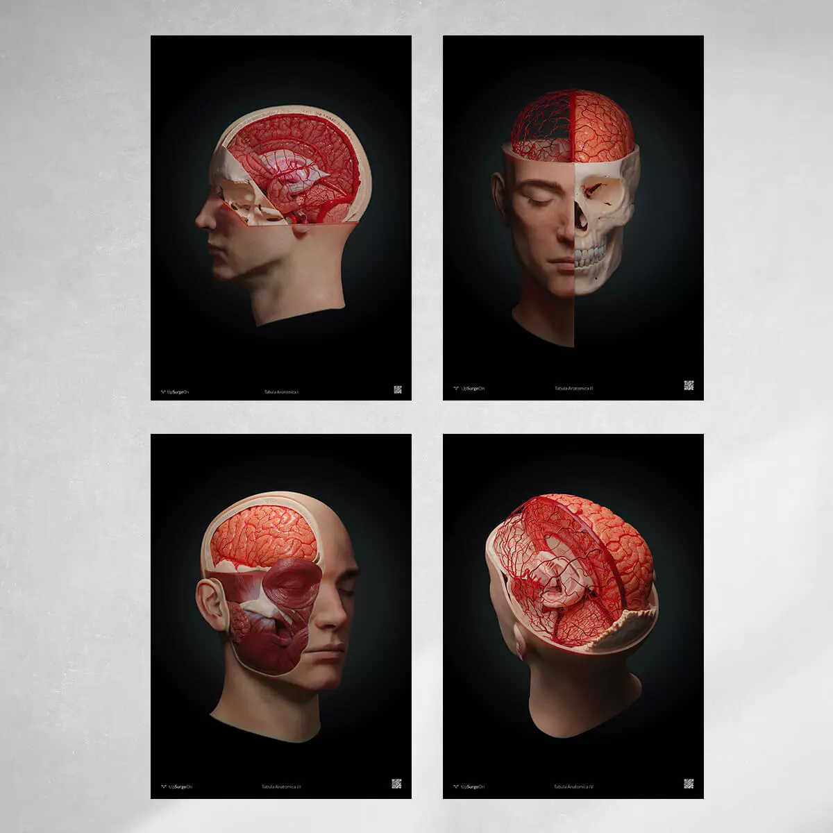  Collectie AnatomyARt