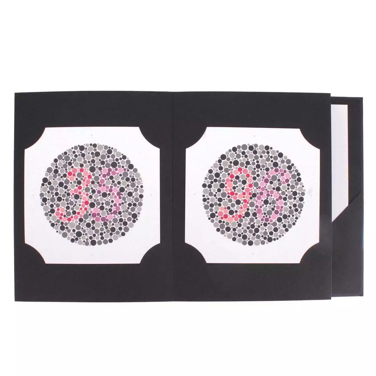  Planches de couleur Ishihara