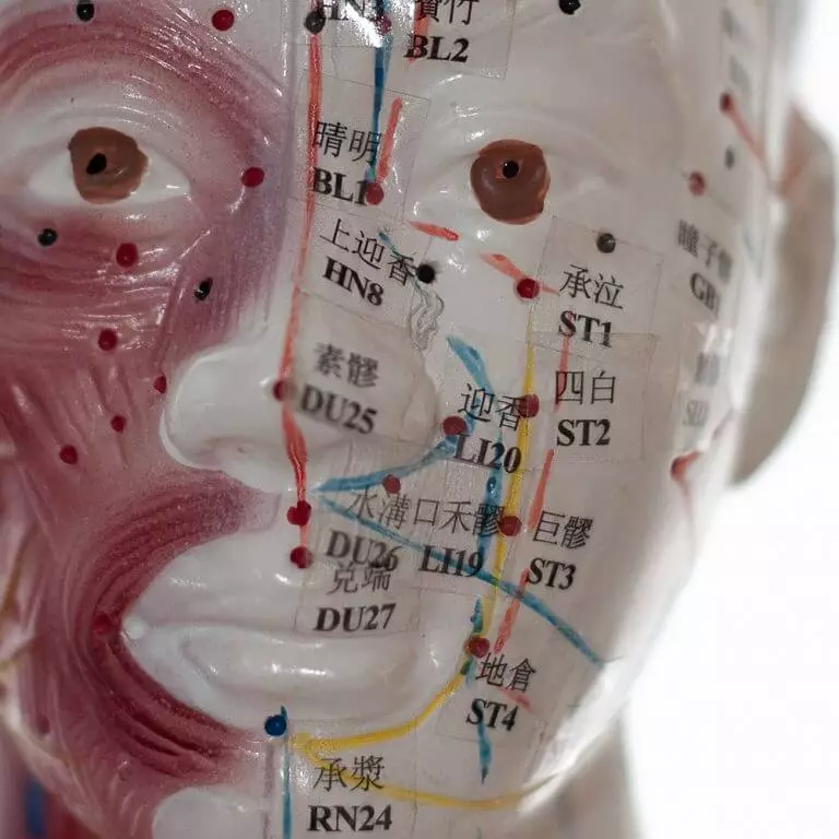  Modèle d'acupuncture masculin