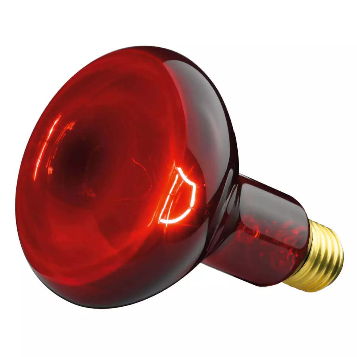  Vervangingslamp voor IL 11
