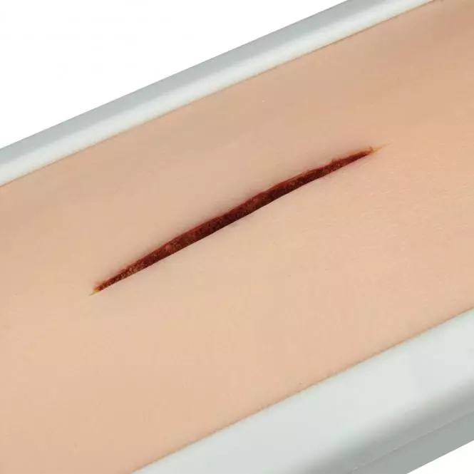  Simulateur de suture sous forme de coussin